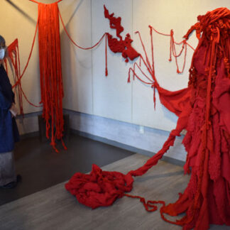 縫いの造形、命の息吹感じて　南澤さんが作品展(2021-07-04)