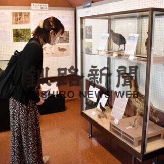 市立博物館でクイナ企画展(2021-07-04)