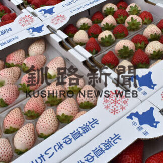 「北海道ゆきいちご」お披露目　独自技術で通年出荷_2(2021-07-08)