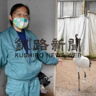 道内４動物園でタンチョウ企画展　釧路の獣医師、飯間さん発案(2021-07-04)