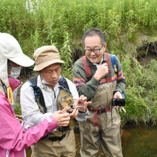 現地調査でイトウの遡上「問題なし」(2021-08-21)