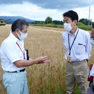 釧路管内、農作物順調も少雨不安　６月中旬以降わずか(2021-08-04)
