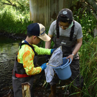 別当賀川生息の生き物を調査(2021-08-03)
