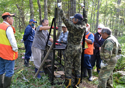 クマ捕獲用箱わな設置 乳牛への襲撃多発で(2021-09-17)