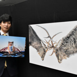 標津サーモン科学館営業再開　魚道水槽でサケ・マス遡上(2021-10-01)