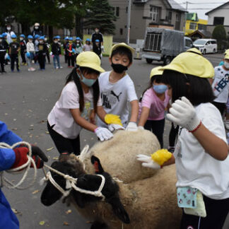 仲間と別れ「元気でね」 昭和小、羊２頭牧場に返却(2021-09-23)