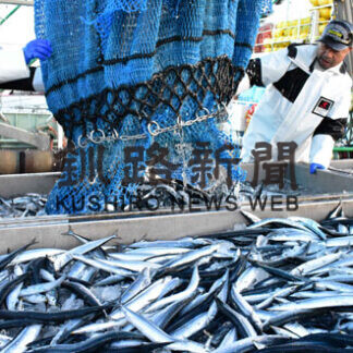 サンマ今季最多７３０㌧　花咲港(2021-09-26)