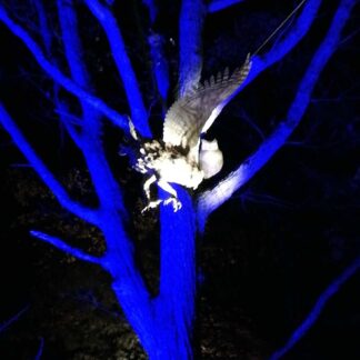 川湯ナイトミュージアム 野鳥彫像を光で立体的に(2021-09-18)