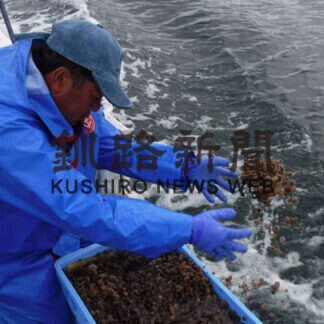 ４漁協に稚ウニ出荷　中間育成へ放流(2021-09-11)