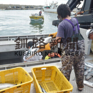 昆布森漁港秋サケ初水揚げ　わずか３５匹(2021-09-02)