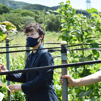 白糠食材で料理提供へ　農業生産者を視察　東京の野田シェフ(2021-09-07)