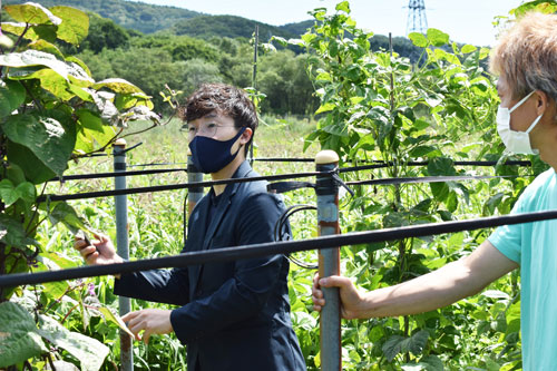 白糠食材で料理提供へ 農業生産者を視察 東京の野田シェフ(2021-09-07)