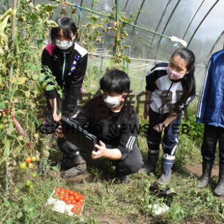 ①山花小中学校　栽培学習にタブレット活用(2021-09-21)