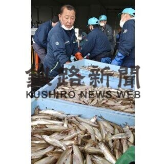 秋の味覚水揚げ、厚岸でシシャモ漁始まる(2021-10-07)