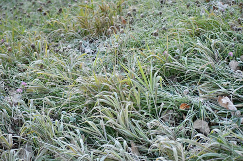 中心部で今季初 氷点下、初氷観測(2021-10-20)