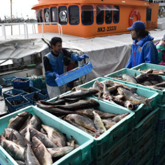 ホッケ安全操業初出漁　臨検なく安堵(2021-10-02)