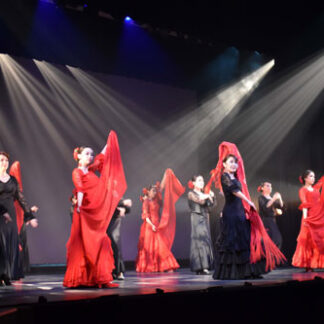 ２年ぶり情熱のフラメンコ　ロッサス発表会(2021-10-24)