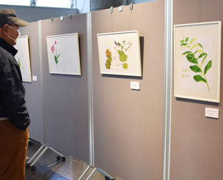 絵画コンクール出品の習作並ぶ　アトリエ・アリス作品展(2021-10-29)