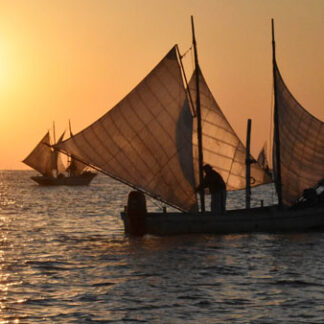 打瀬舟、三角帆はためかせ　野付半島で秋のホッカイシマエビ漁(2021-10-26)