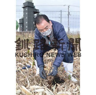 市と明治が自然環境保全区でカラマツ５０本植樹(2021-11-19)