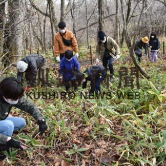 武佐の森でミヤコササ刈り取り　学生など参加(2021-11-08)