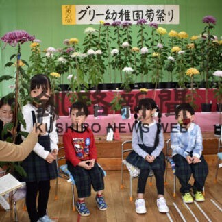 グリー幼稚園で「菊祭り」(2021-11-06)