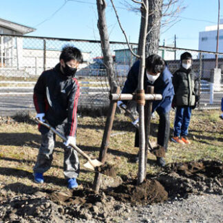 釧路市立共栄小学校でエゾヤマザクラなど植樹(2021-11-28)