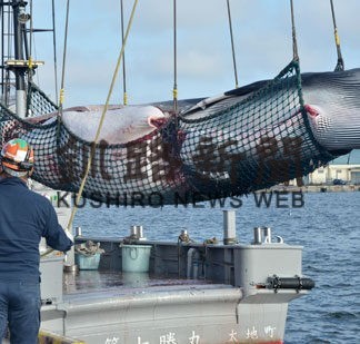 ミンククジラ１８頭捕獲　釧路沖商業捕鯨終了(2021-11-17)