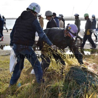 港をきれいに　歯舞の漁業者ら一斉清掃(2021-11-18)