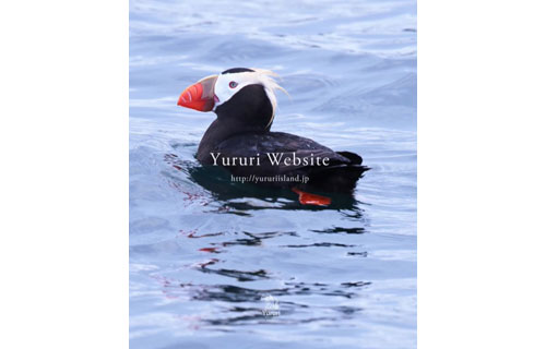 ユルリ・ウエブサイト公開(2021-11-27)