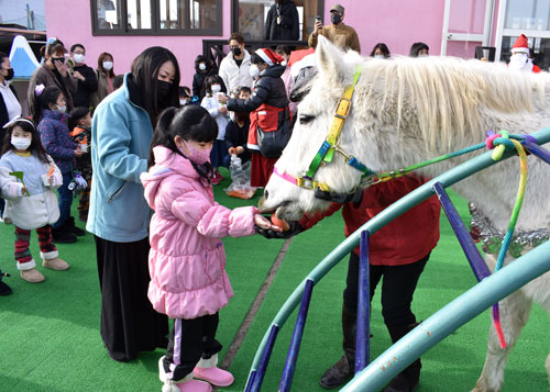 白馬と園児触れ合い 仏教釧路幼稚園(2021-12-12)