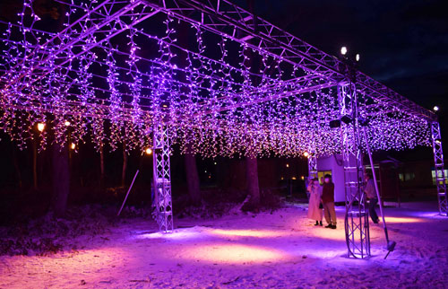 イルミ幻想の光 音楽と一体「天園の森」(2021-12-20)