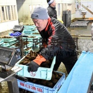 羅臼寒ウニ、２・５㌧初水揚げ(2022-01-12)