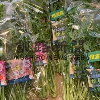 ＣＤＦ、ＬＥＤで水菜水耕栽培_1(2022-02-25)