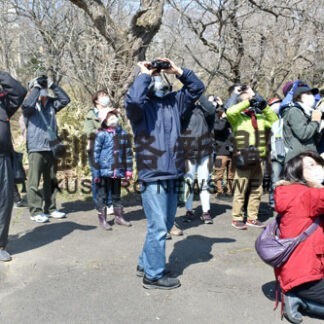 散策しながら野鳥観察、春採湖周辺で探鳥会(2022-04-18)