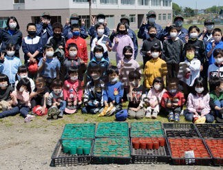 カボチャ「大きく育ってね」園児ら丁寧に種植え(2022-05-29)