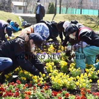 パンジーとビオラ ２４００株を植え込み　チューリップフェア実行委　(2022-05-14)