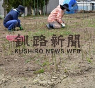 新鮮アスパラいかが　高橋農園が販売開始(2022-05-13)
