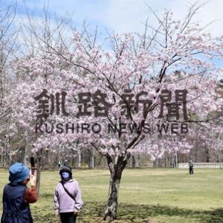 白やピンクのサクラ見頃　音別の憩いの森キャンプ場(2022-05-07)