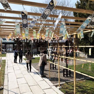 こいのぼり 飾り棚で泳ぐ　金刀比羅神社(2022-05-08)