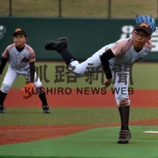 太平洋興発杯春季少年野球 ベスト４決まる(2022-05-02)