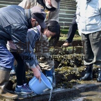 サケ稚魚「帰ってきてね」　シャケの会、１万5000匹を放流(2022-05-06)