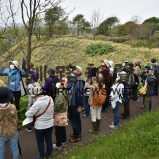 春採湖畔で草花観察　釧路市立博物館(2022-05-28)