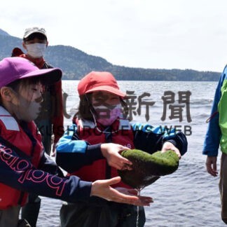 マリモに触れ生態学ぶ　阿寒の児童が生育地観察会(2022-05-18)