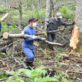 クマ対策で環境整備　川北連町が樹木や草を除去(2022-06-24)