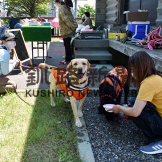 犬猫の無病息災願い　鳥取神社で行事、飼い主ら交流も(2022-06-27)