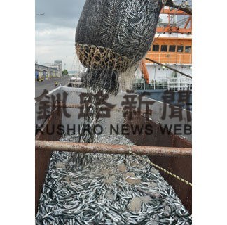 マイワシ６８０㌧水揚げ　道東沖巻き網漁始まる(2022-06-28)