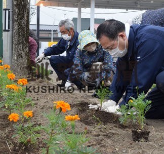 国道沿い、マリーゴールドで彩り　音別で植栽(2022-06-16)