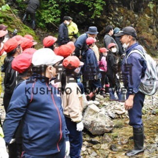 サクラマス遡上すごい　標津小児童がサケ学習(2022-07-12)