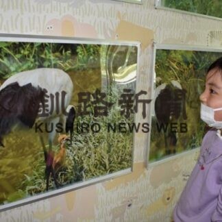 ひな誕生祝い写真や映像展示　釧路市動物園(2022-07-03)